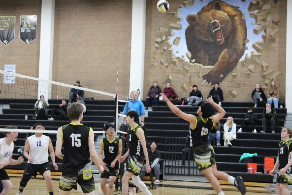 Navigation to Story: Boys Volleyball 2024: The Sequel to the Best Season Ever