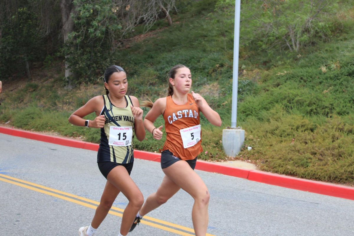 Running Wild: Cross Country in the Wind