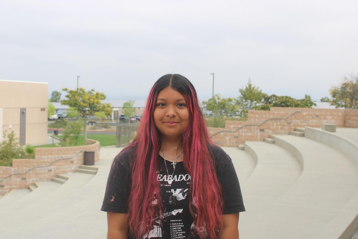 Diane Reyes Apolinar